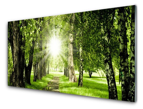 Quadro su vetro Foresta Sentiero del Sole Natura 100x50 cm