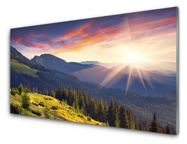 Quadro su vetro Montagna foresta sole paesaggio 100x50 cm