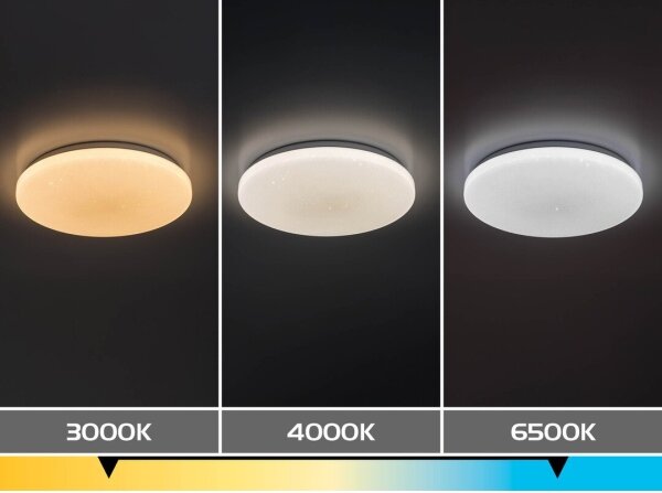 Rabalux 71445 - Plafoniera LED dimmerabile DANNY 2 LED/22W/230V 3000-6500K diam. 33 cm + telecomando