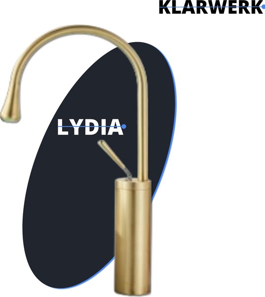Lydia | Rubinetto per bagno Hotel Gastro Gold | Rubinetto in acciaio inox per lavabi alti | Miscelatore 2 attacchi | Miscelatore alta pressione alto | Bagno
