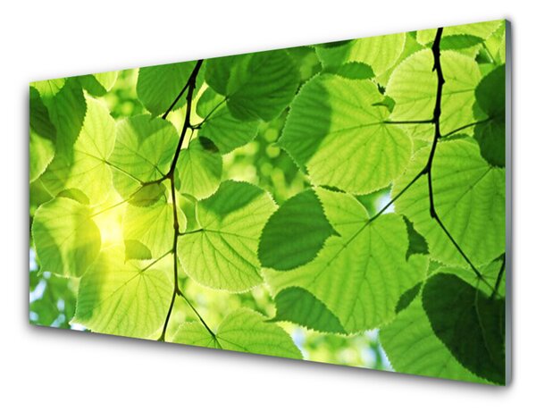 Quadro di vetro Foglia Natura Pianta 100x50 cm