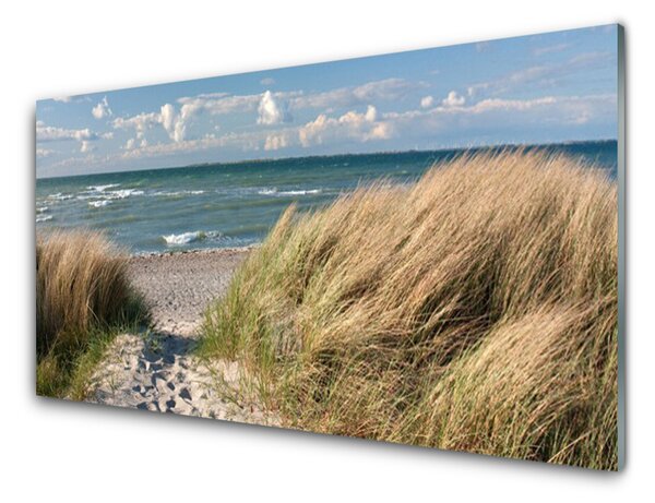 Quadro vetro Spiaggia mare erba paesaggio 100x50 cm