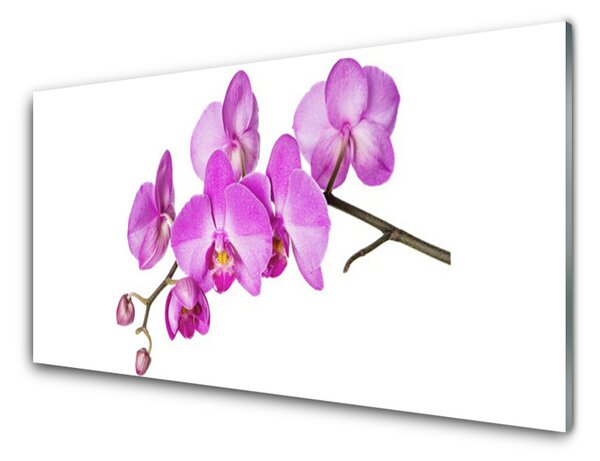 Quadro vetro Orchidea Fiori di orchidea 100x50 cm