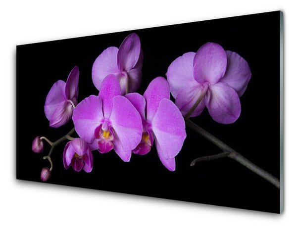 Quadro di vetro Orchidea Fiori di orchidea 100x50 cm