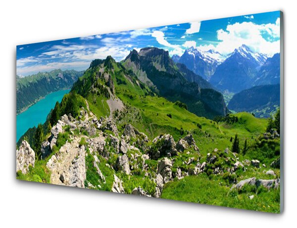 Quadro in vetro Prato Montagne Paesaggio Natura 100x50 cm