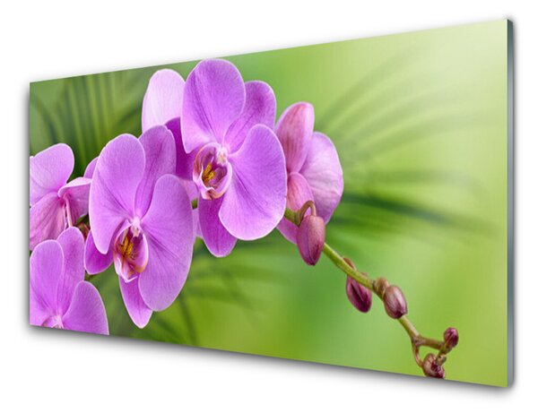 Quadro in vetro Orchidea Fiori di orchidea 100x50 cm