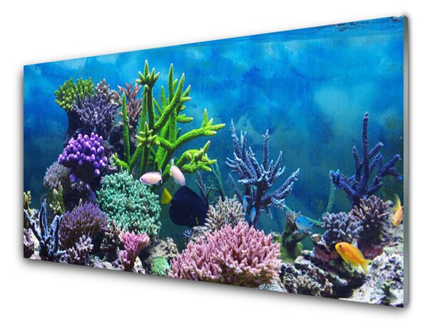 Quadro vetro Acquario di pesci sott'acqua 100x50 cm