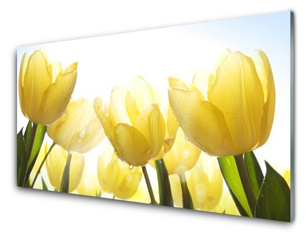 Quadro in vetro Tulipani Fiori radiosi 100x50 cm