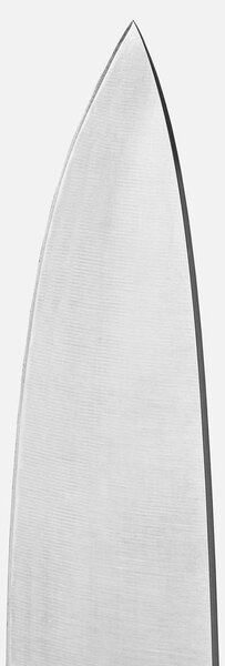 Set di coltelli con lama in acciaio inox 3 pz Trino – FABINI