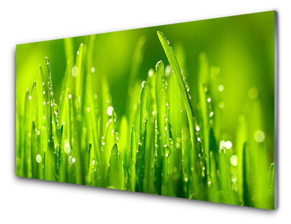 Quadro di vetro Gocce di rosa di erba verde 100x50 cm