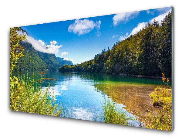Quadro su vetro Montagne Foresta Natura Lago 100x50 cm