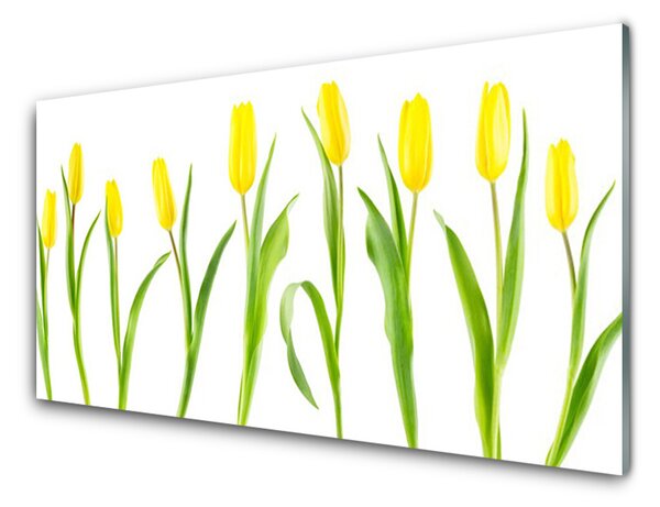 Quadro vetro Fiori di tulipani gialli 100x50 cm