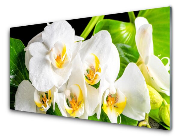 Quadro in vetro Orchidea Fiori della natura 100x50 cm