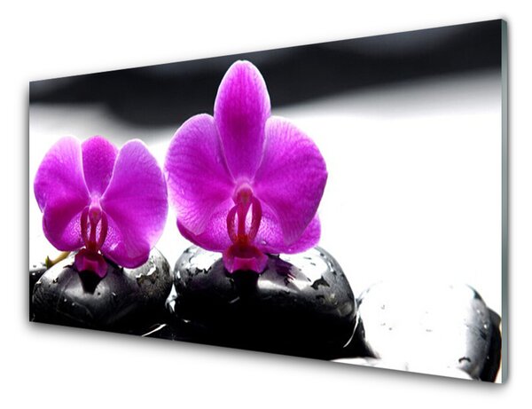 Quadro su vetro Fiori Orchidea Natura 100x50 cm