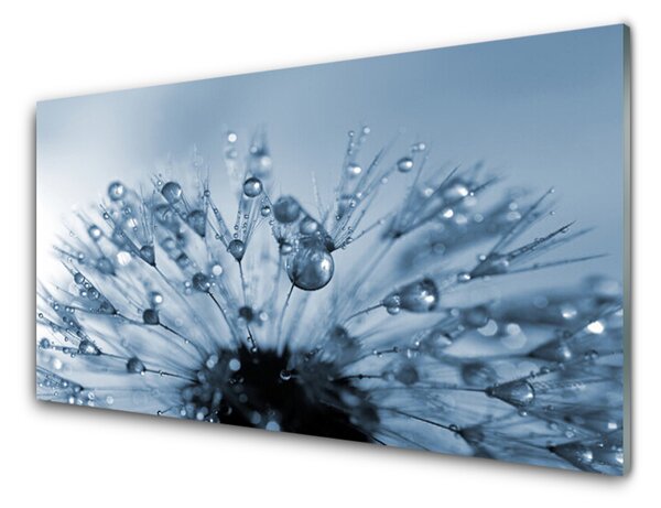 Quadro di vetro Gocce di fiori soffiati 100x50 cm