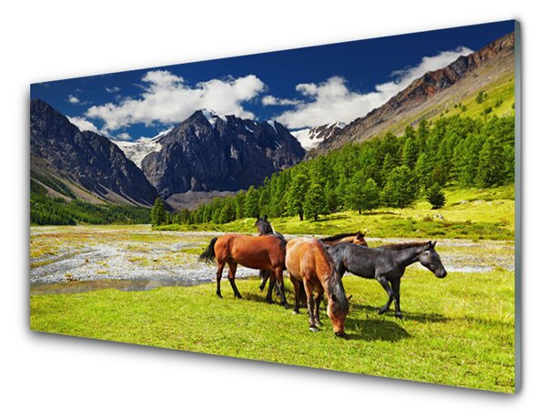 Quadro in vetro Montagne Alberi Cavalli Animali 100x50 cm