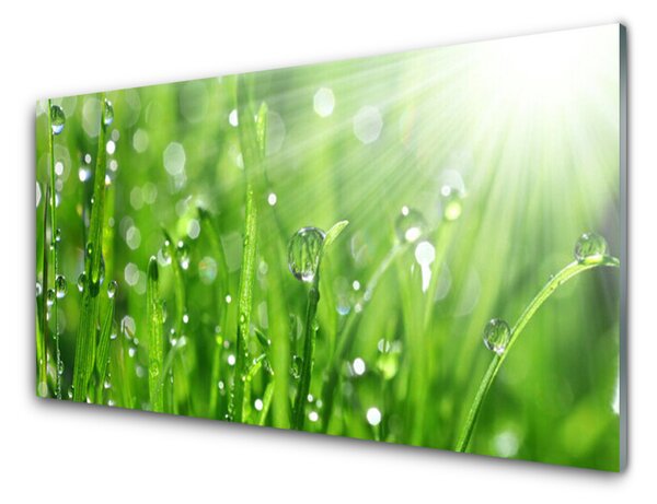 Quadro su vetro Gocce di erba naturale 100x50 cm