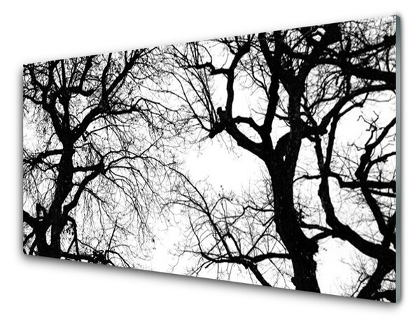 Quadro in vetro Natura Alberi in bianco e nero 100x50 cm