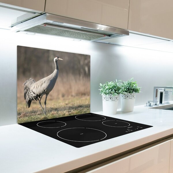 Tagliere in vetro Airone 60x52 cm