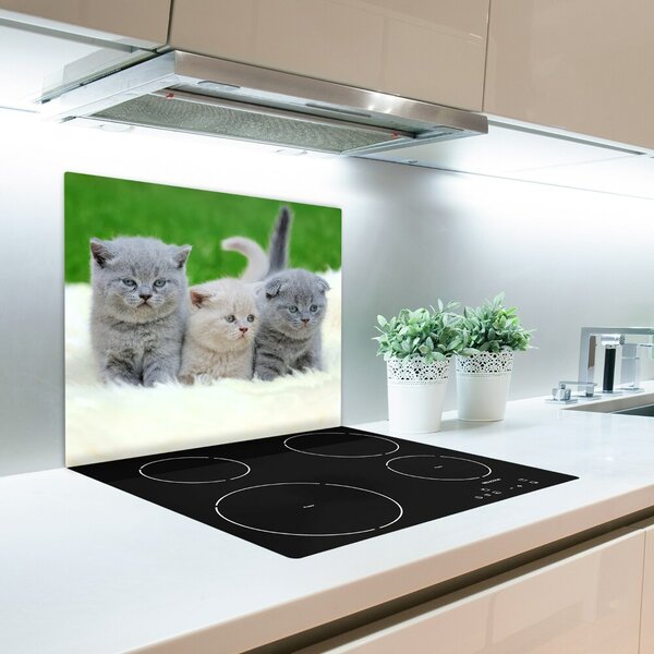 Tagliere in vetro Tre gatti sulla coperta 60x52 cm
