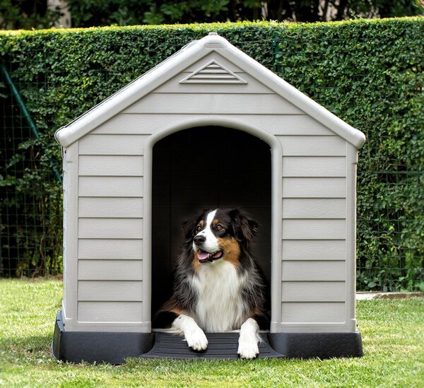 Cuccia per cani
