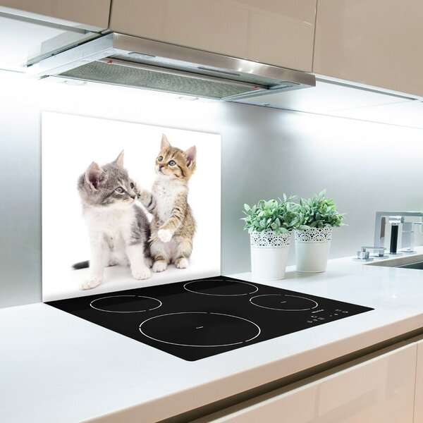 Tagliere in vetro temperato Due piccoli gatti 60x52 cm