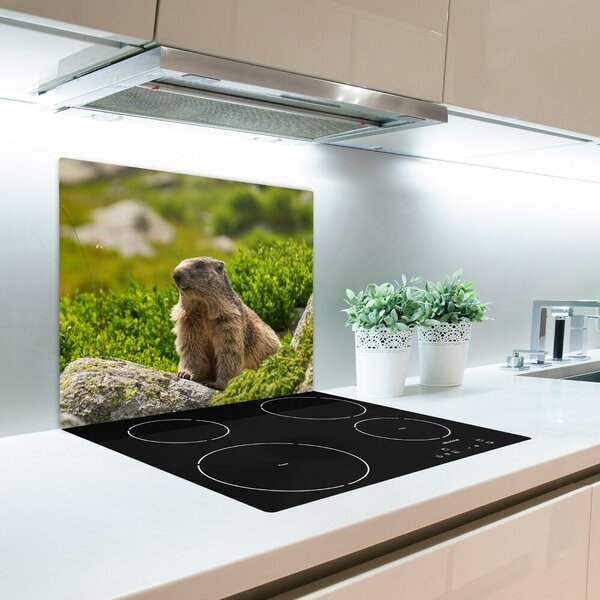 Tagliere in vetro temperato Tatra Marmot 60x52 cm