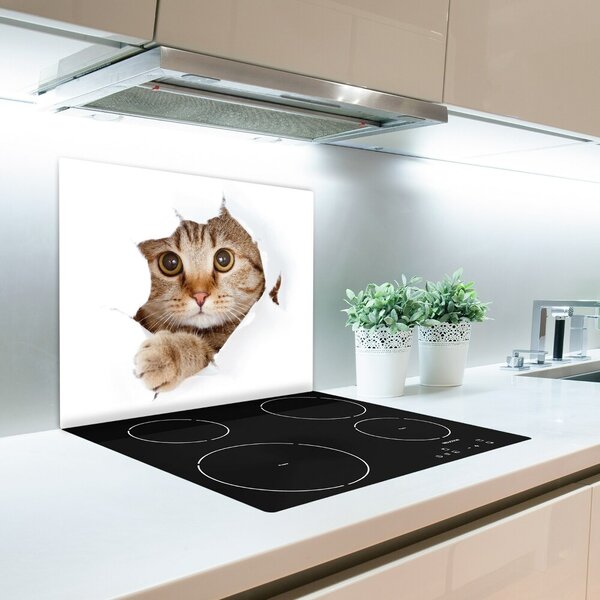 Tagliere in vetro Gatto 60x52 cm