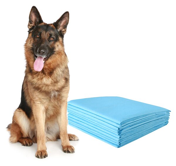 Costway Traverse usa e getta con controllo odore, Traverse con asciugatura rapida per cani gatti conigli 75 x 75 cm