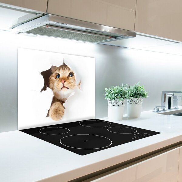 Tagliere in vetro Gatto in un buco 60x52 cm