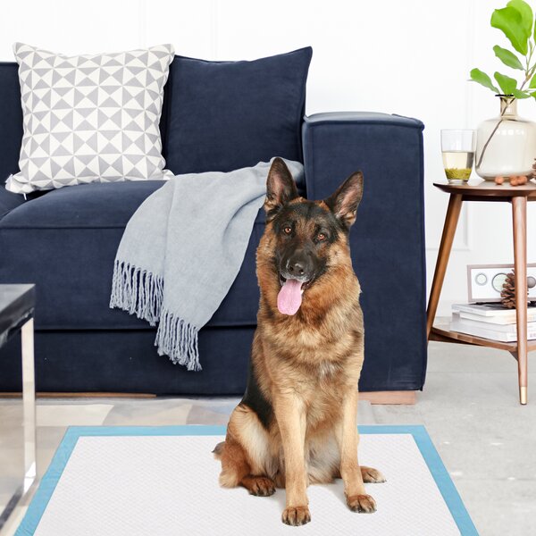 Costway Traverse usa e getta con controllo odore, Traverse con asciugatura rapida per cani gatti conigli 75 x 75 cm