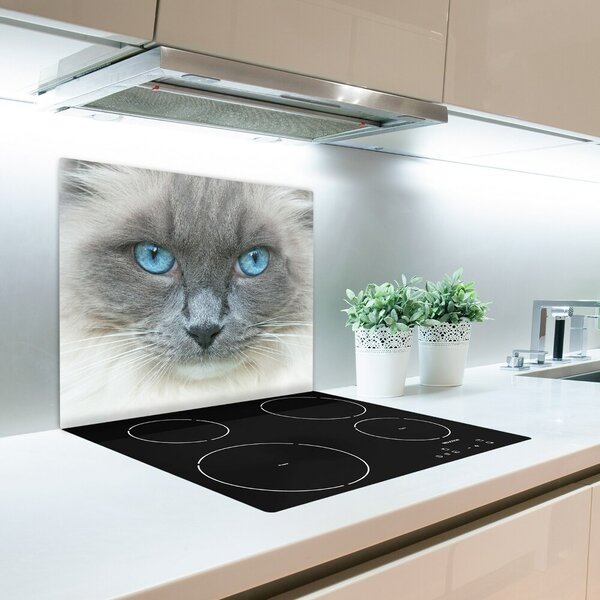 Tagliere in vetro Occhi blu di gatto 60x52 cm