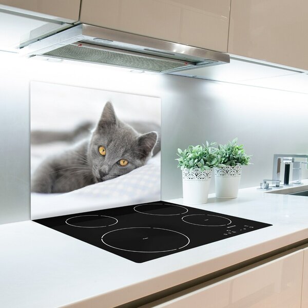 Tagliere in vetro Gatto grigio 60x52 cm