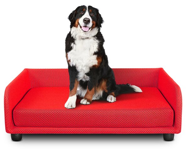 Cuccia per cani - Divano letto King Dog Home 70X90 Rosso