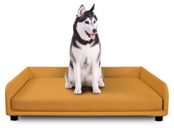 Cuccia per cani - Divano letto King Dog Home 95X120 Giallo