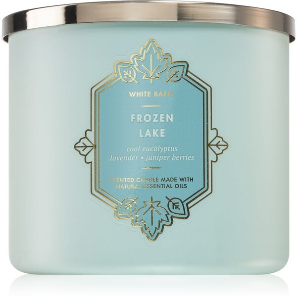 Bath & Body Works Frozen Lake candela profumata II 411 g