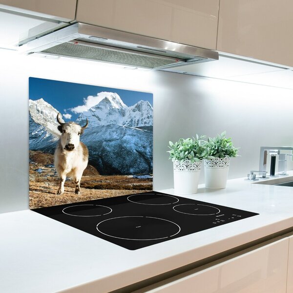 Tagliere in vetro Come una montagna comune 60x52 cm
