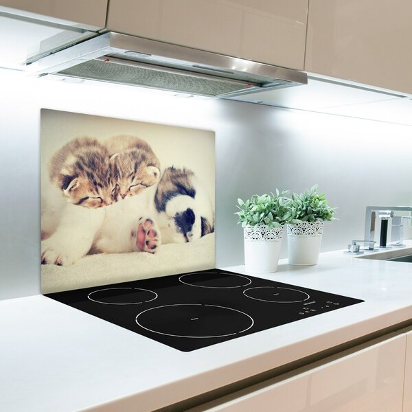 Tagliere in vetro temperato Due gatti e un cane 60x52 cm