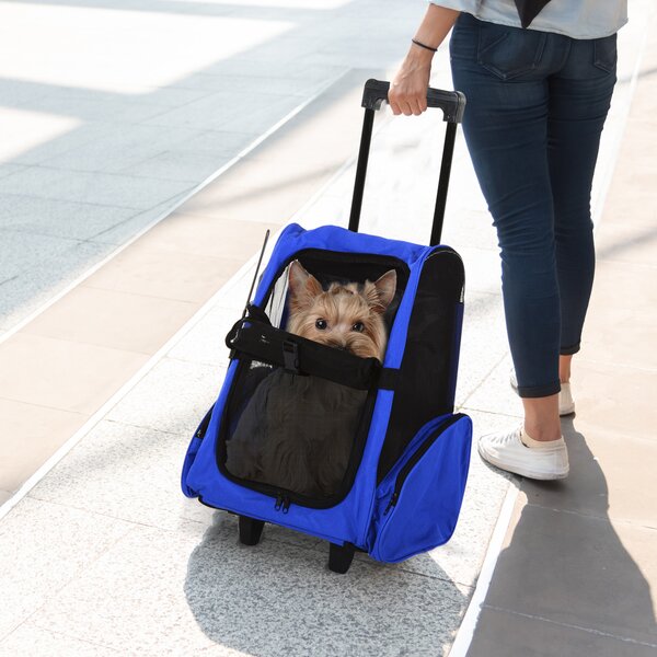 PawHut Trasportino Zaino 2 in 1 per Cani e Gatti con Tasche Laterali, Maniglia Telescopica e Ruote, 42x25x55cm, Blu|Aosom