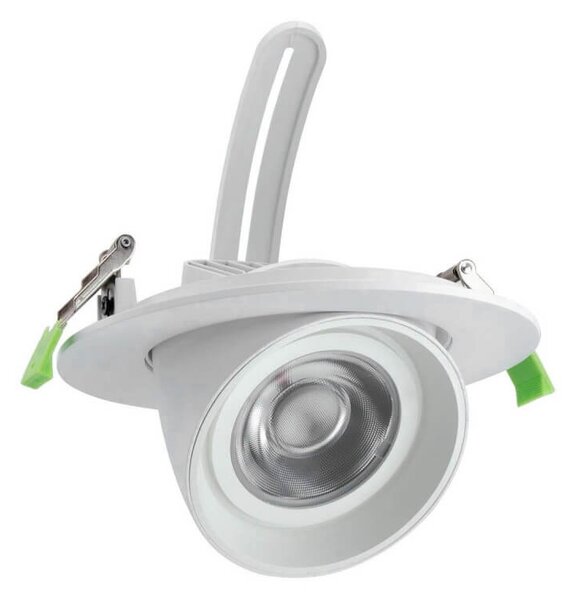 Faro LED da Incasso 44W, Foro Ø160mm con driver Philips- Per Carni Colore Rosa Alimentare