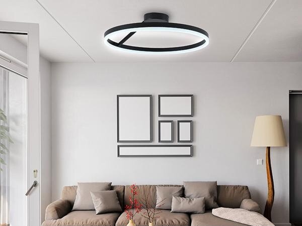 Lampadario a plafone LED dimmerabile LED/40W/230V 3000-6500K nero + telecomando