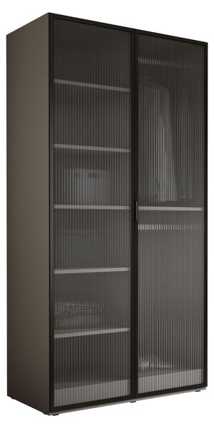 Armadio, 2 ante, dimensioni 100 x 200 x 51 cm, colore grigio, dimensioni 100 x 200 x 51 cm