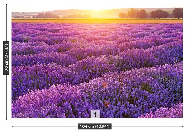 Carta da parati Campo di lavanda 104x70 cm