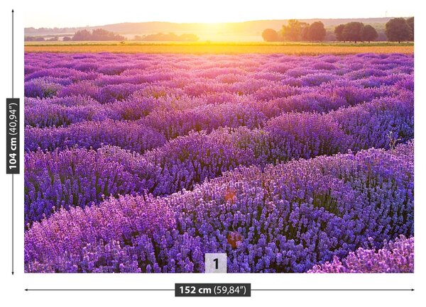 Carta da parati Campo di lavanda 104x70 cm