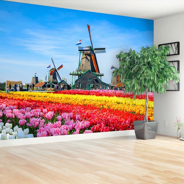 Carta da parati Tulipani a vento 104x70 cm