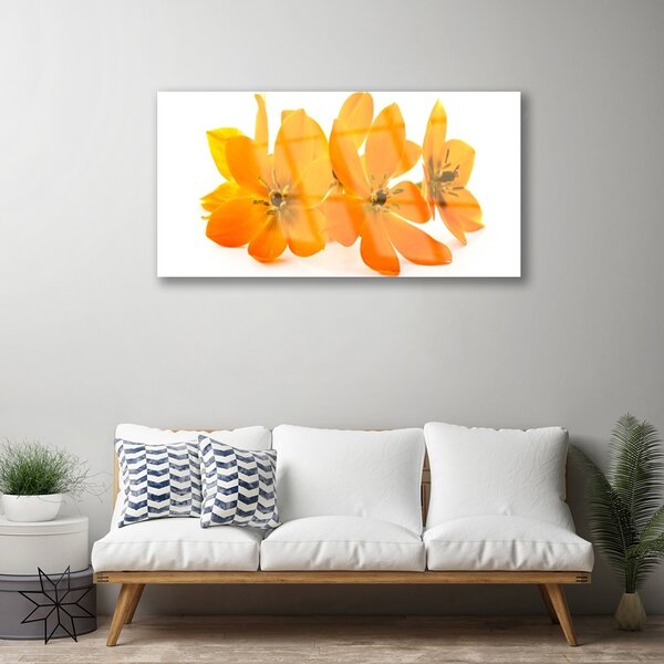 Quadro in vetro Pianta di fiori d'arancio 100x50 cm 2 appendini