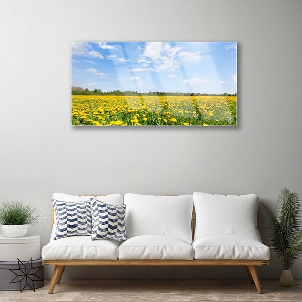 Quadro in vetro Prato del dente di leone 100x50 cm 2 appendini