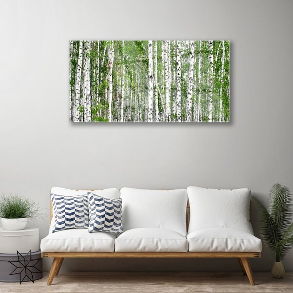 Quadro vetro Bosco di betulle Alberi Natura 100x50 cm 2 appendini
