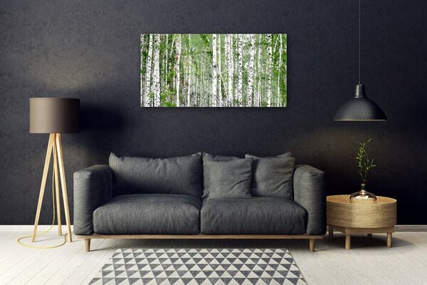Quadro vetro Bosco di betulle Alberi Natura 100x50 cm 2 appendini