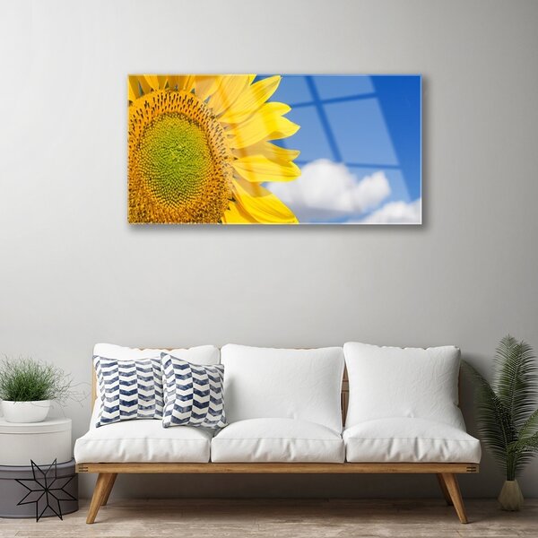 Quadro vetro Girasole Cielo Nuvole 100x50 cm 2 appendini